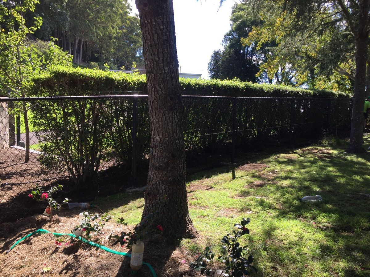 after Black Mesh Custom Door – Stage 3: Neighbouring Fence, Mount Lofty