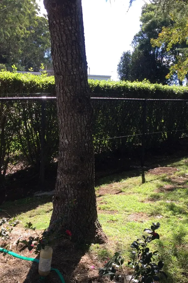 after Black Mesh Custom Door – Stage 3: Neighbouring Fence, Mount Lofty
