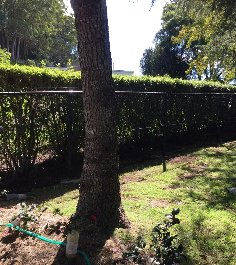 after Black Mesh Custom Door – Stage 3: Neighbouring Fence, Mount Lofty