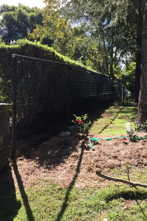 after Black Mesh Custom Door – Stage 3: Neighbouring Fence, Mount Lofty