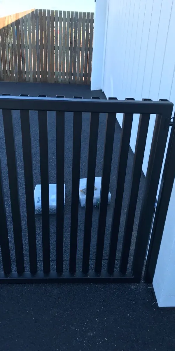 after Black Powder-coated Aluminium Swing Gate – Pool Gates + Infills, Middle Ridge