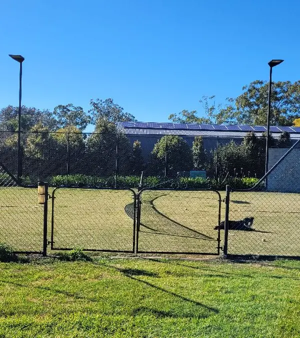 after Black Powder-coated Steel + Chain Mesh Swing Gate – Gate + Fence, Middle Ridge