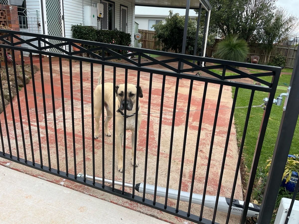 after Black Powder-coated Steel Swing Gate – Swing Gate + Motor, Rangeville
