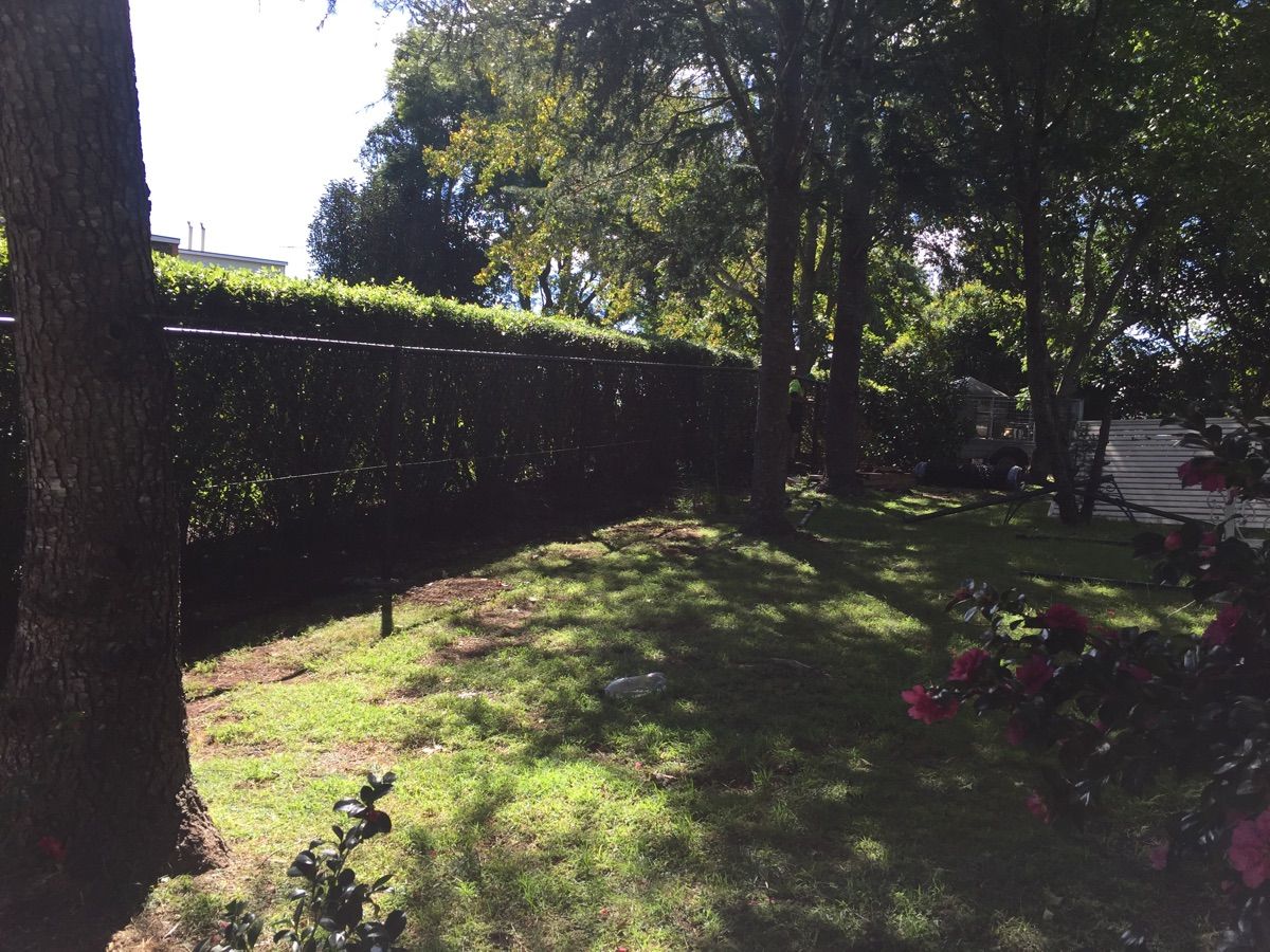after Black Mesh Custom Door – Stage 3: Neighbouring Fence, Mount Lofty