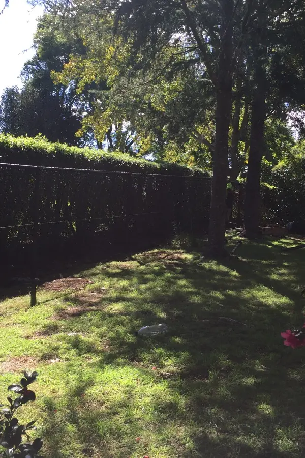 after Black Mesh Custom Door – Stage 3: Neighbouring Fence, Mount Lofty