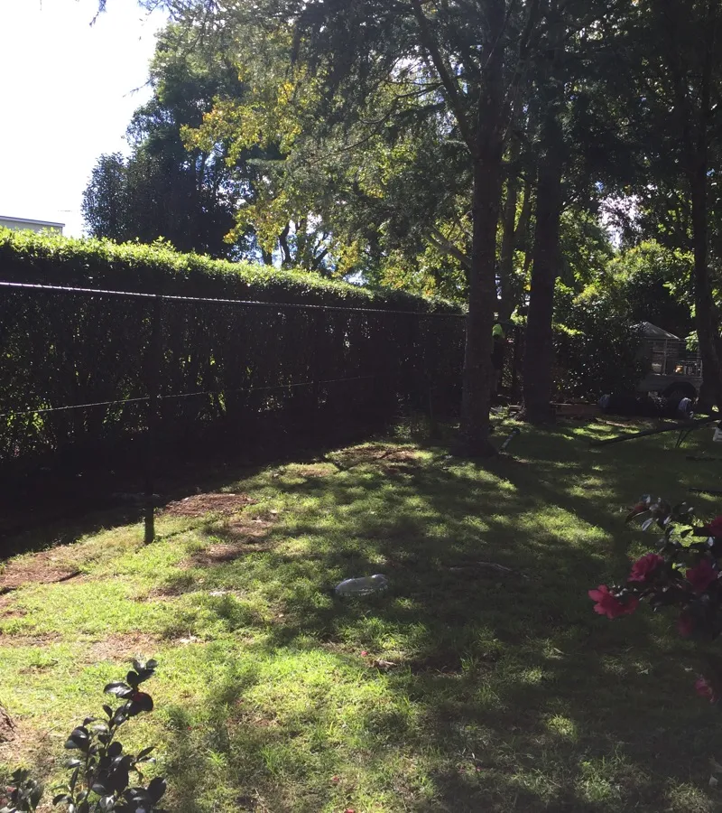 after Black Mesh Custom Door – Stage 3: Neighbouring Fence, Mount Lofty