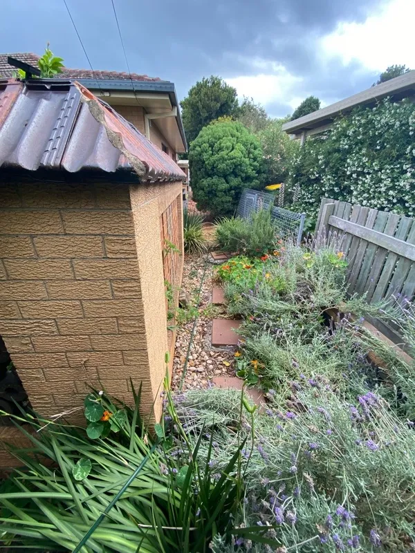 before N/A N/A Swing Gate – Swing Gate, Rangeville