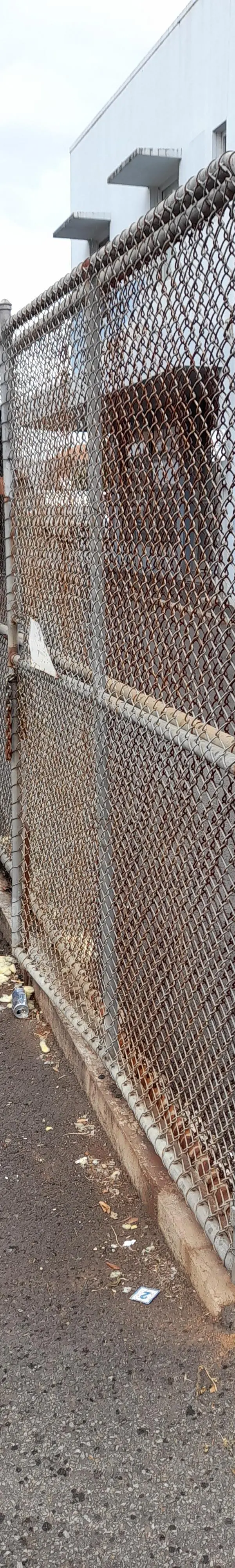 before N/A Mesh Sliding Gate – Electric Sliding Gate, Toowoomba