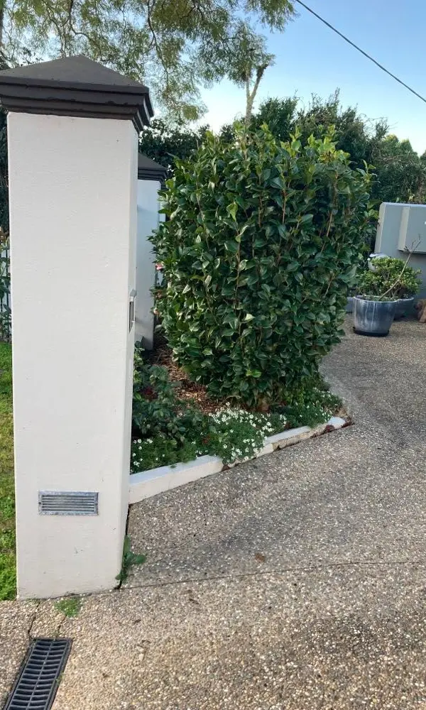 before Black Powder-coated Aluminium Sliding Gate – Front Gate, Rangeville