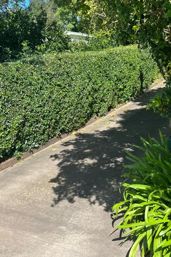 before N/A Galvanised Sliding Gate – Slide Gate, Mount Lofty