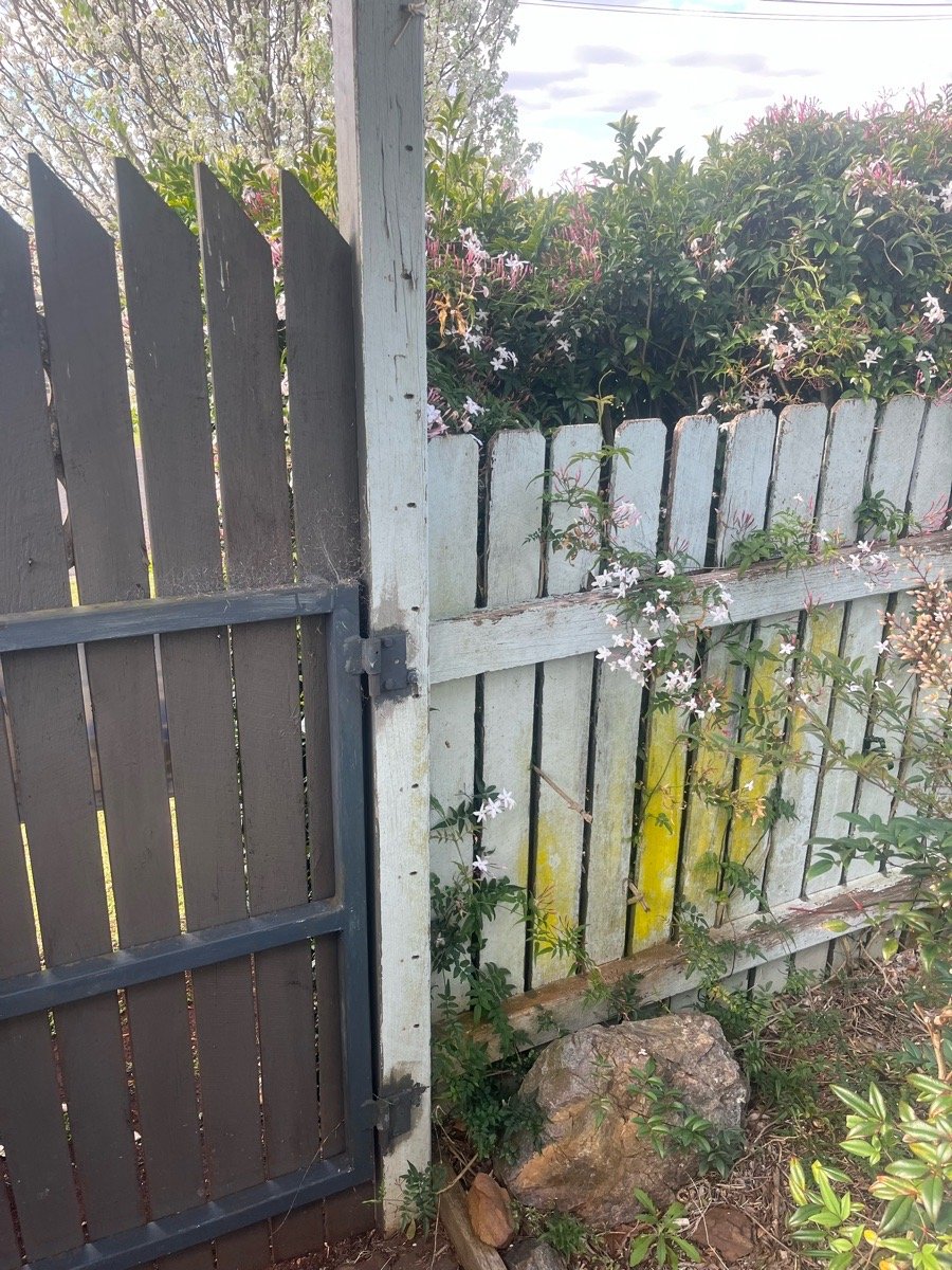 before Grey Timber/Painted Swing Gate – Gate Quote, Centenary Heights
