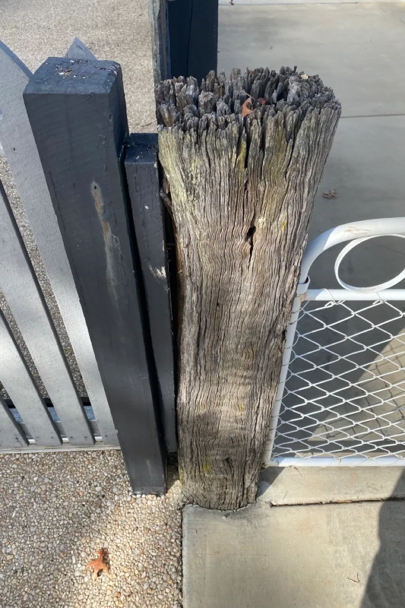 before White Galvanised + Timber Swing Gate – Gate/ Front fence?, East Toowoomba