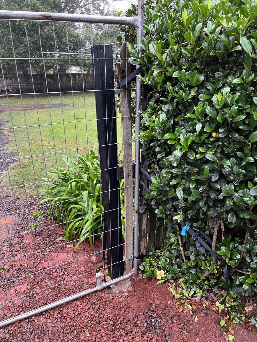 before Black Powder-coated Steel Swing Gate – 4 x Posts, Highfields