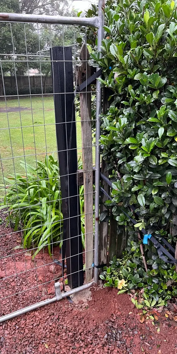before Black Powder-coated Steel Swing Gate – 4 x Posts, Highfields