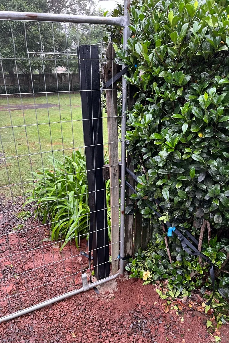 before Black Powder-coated Steel Swing Gate – 4 x Posts, Highfields