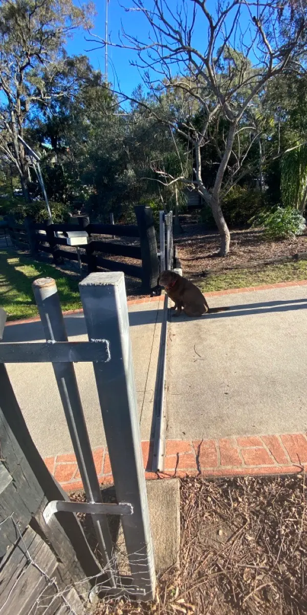 before Galvanised Pipe-Galvanised Sliding Gate – Gate + Motor, Gowrie Junction