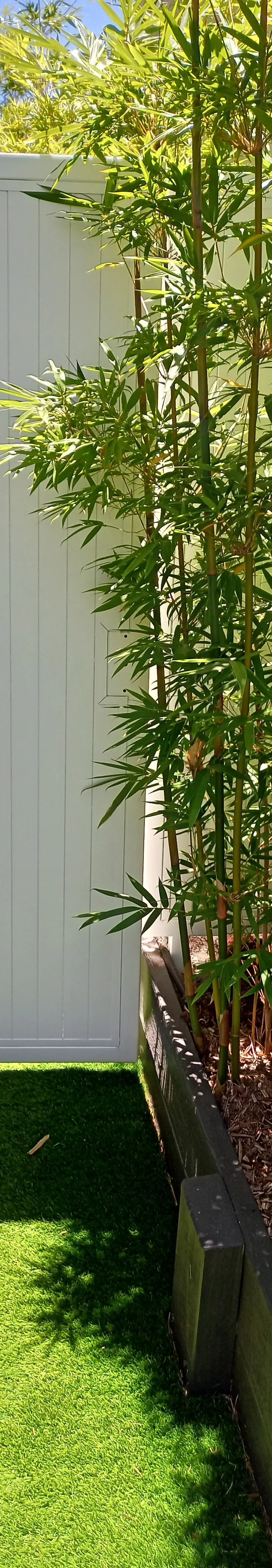 before White N/A Swing Gate – PA Gate + Infill Panel, East Toowoomba