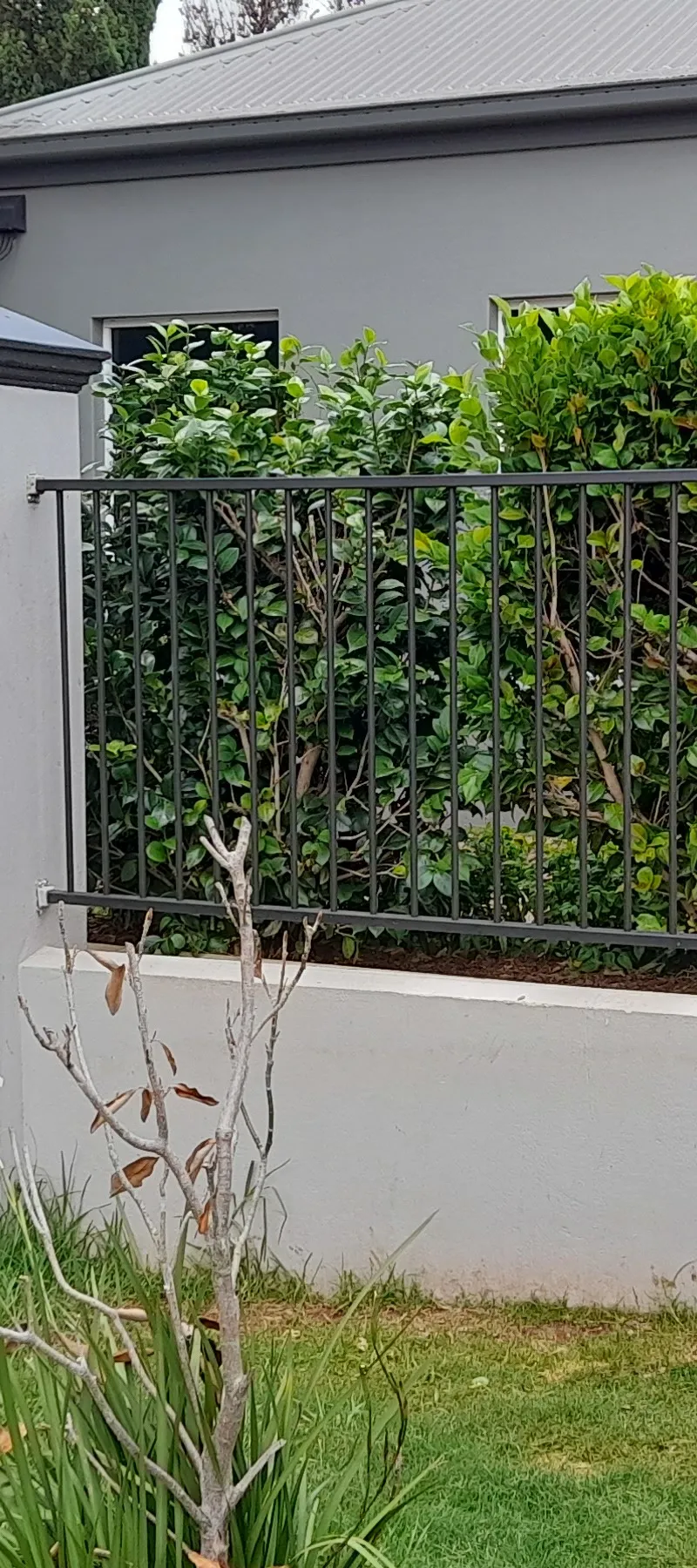 before Black Powder-coated Aluminium Sliding Gate – Front Gate, Rangeville