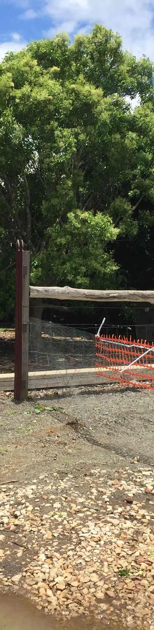 before Paperbark Powder-coated Steel Swing Gate – Dbl Swing + Motor, Torrington