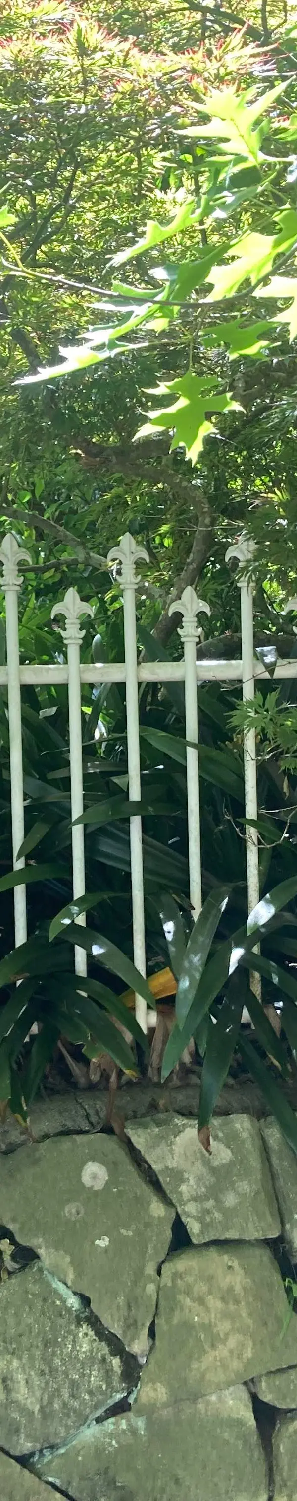 before White Wrought Iron Swing Gate – Gate Fabrication, Middle Ridge