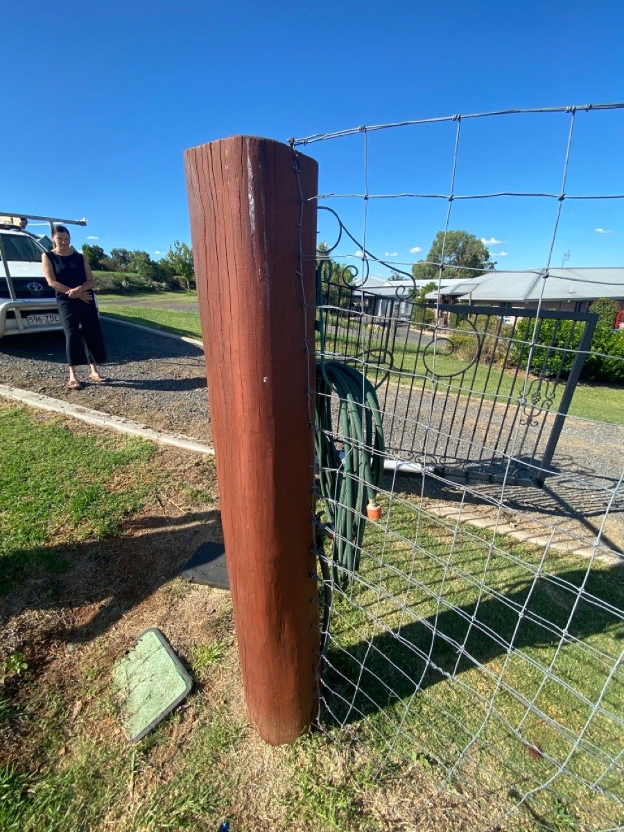 before N/A Timber Swing Gate – Service Job - Posts, Gowrie Junction