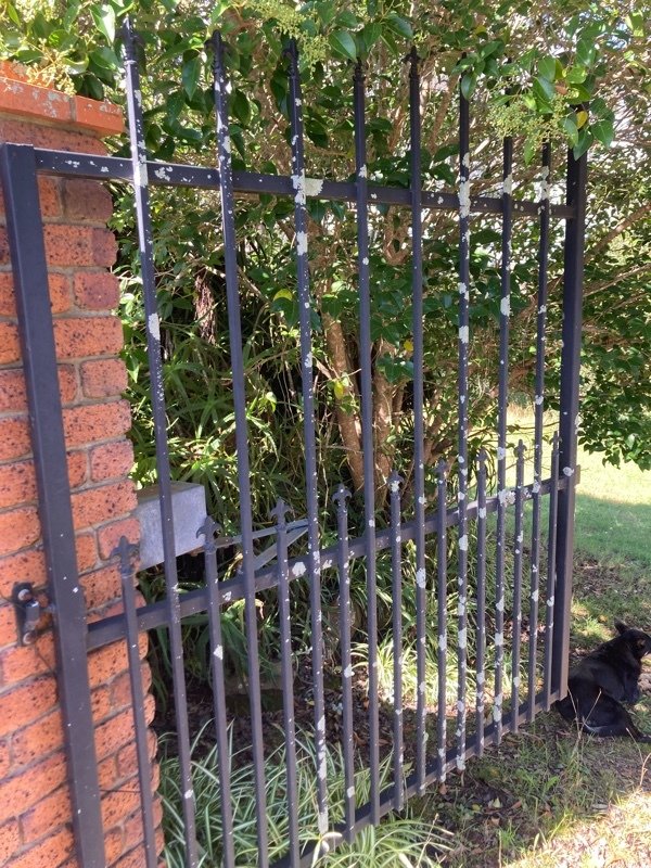 before Black Powder-coated Aluminium Swing Gate – Gate repairs, Kearneys Spring