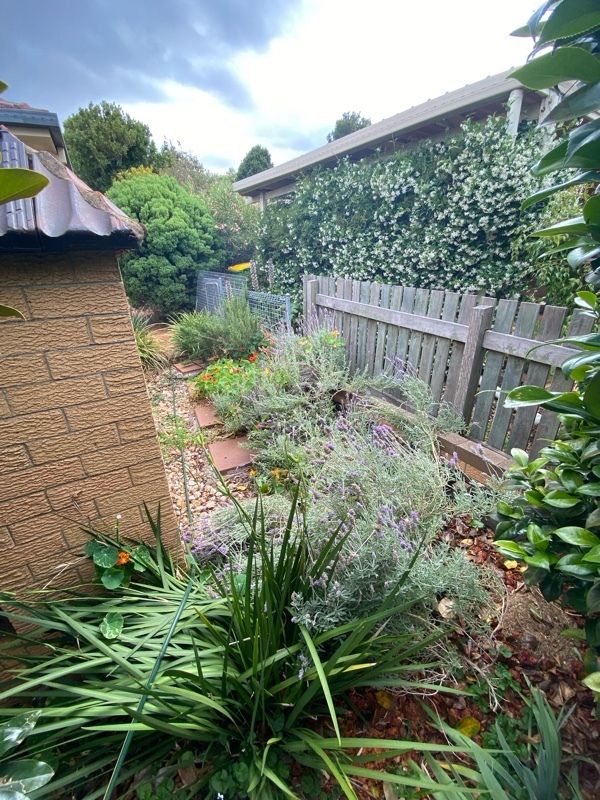 before N/A N/A Swing Gate – Swing Gate, Rangeville